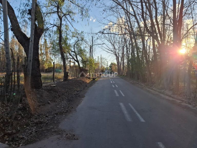 Lote en Venta en Lujan de Cuyo, Mendoza