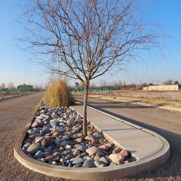 Lote en Venta en Lujan de Cuyo, Mendoza