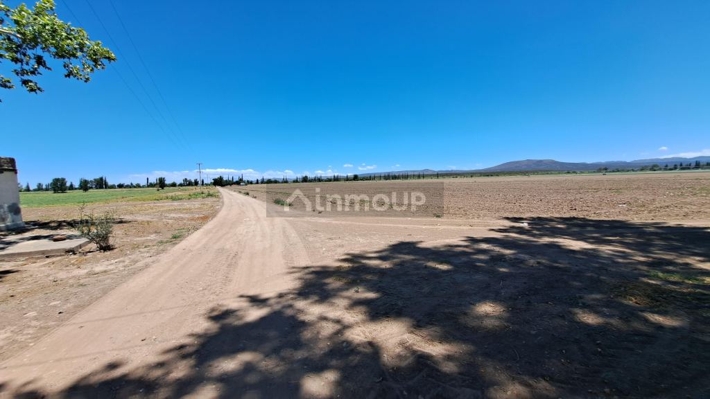 Finca en Venta en San Rafael, Mendoza