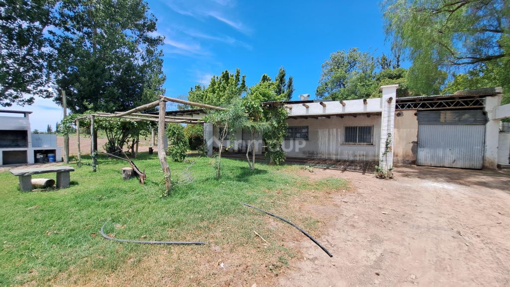 Finca en Venta en San Rafael, Mendoza