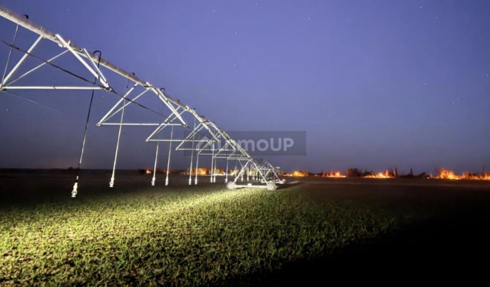 Finca en Venta en San Rafael, Mendoza