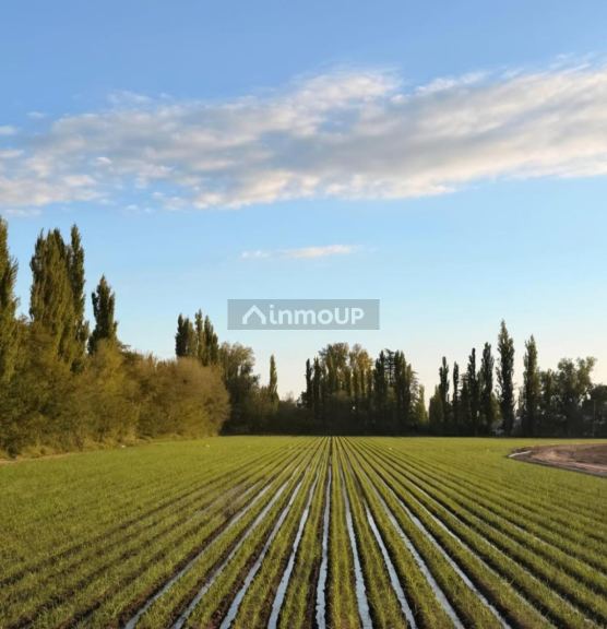 Finca en Venta en San Rafael, Mendoza