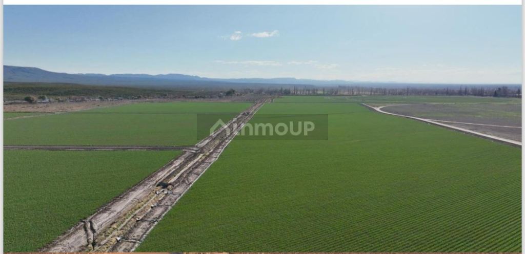 Finca en Venta en San Rafael, Mendoza