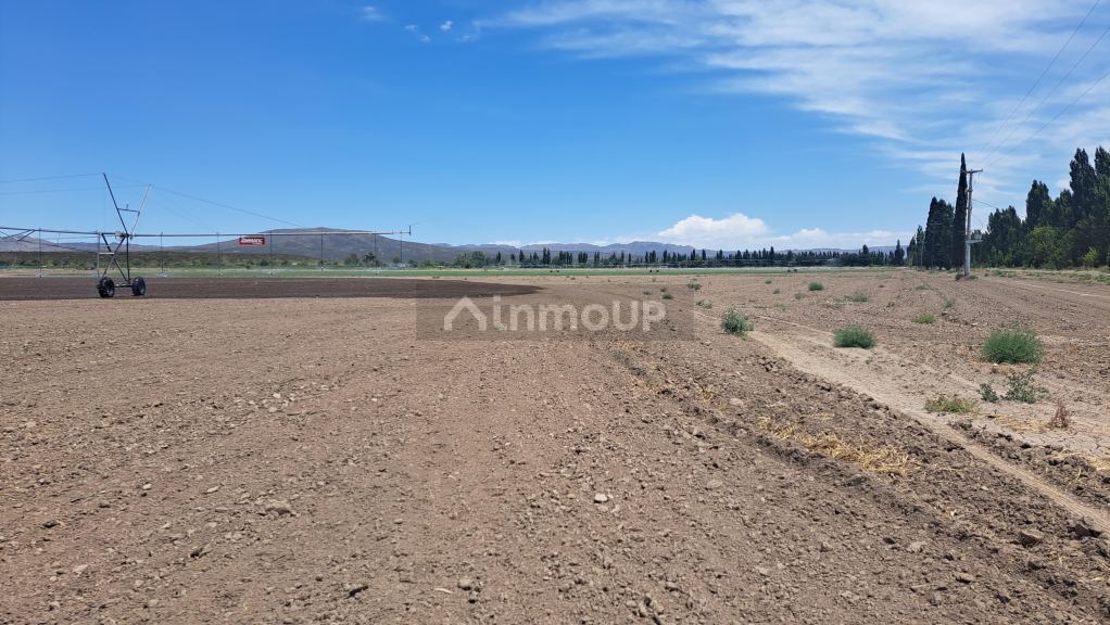 Finca en Venta en San Rafael, Mendoza