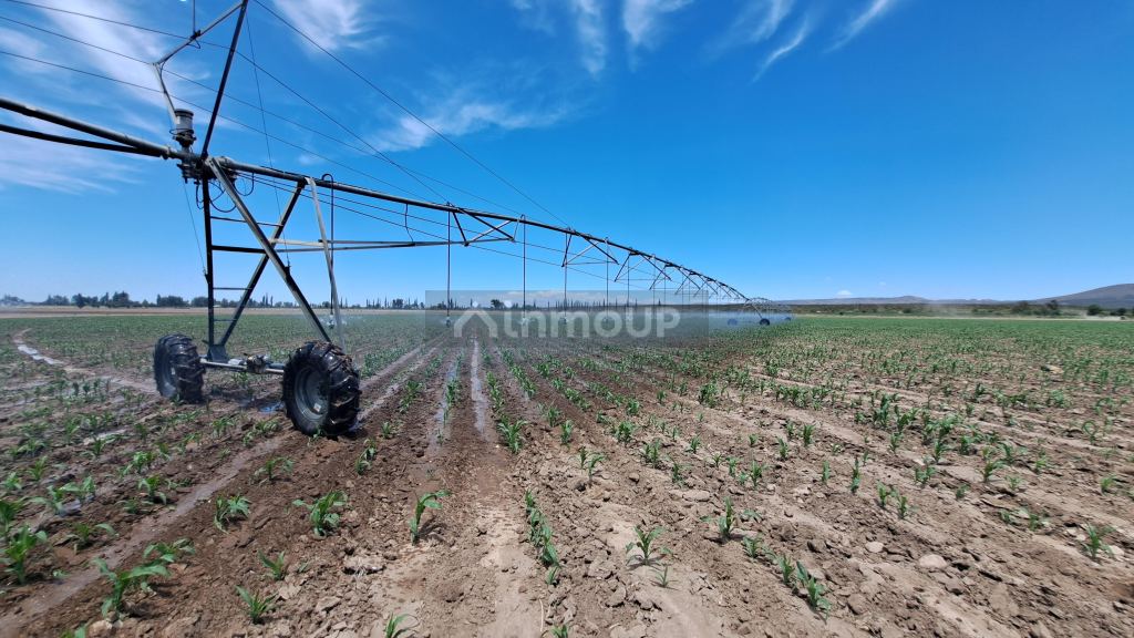 Finca en Venta en San Rafael, Mendoza