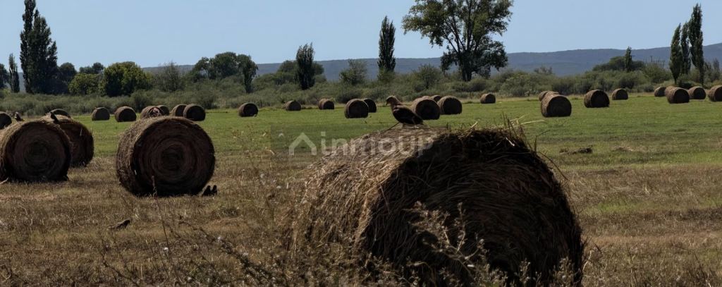 Finca en Venta en San Rafael, Mendoza