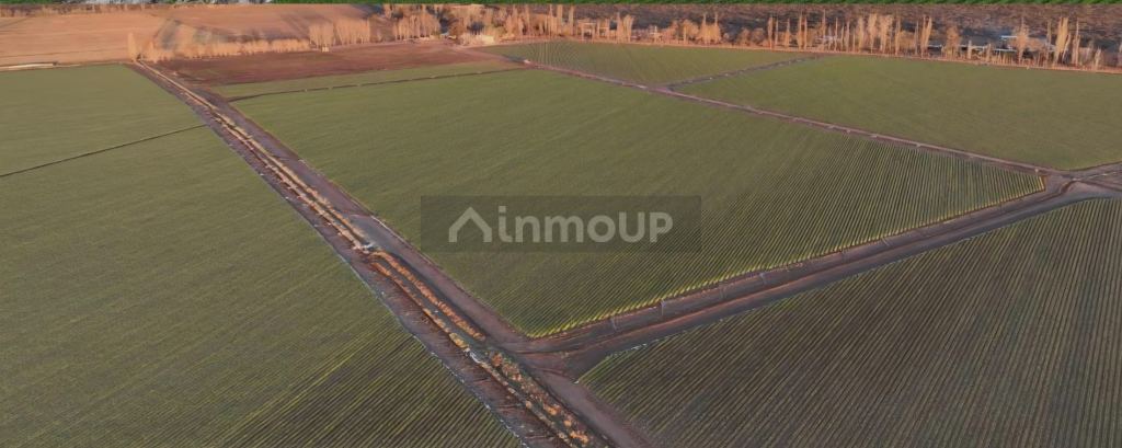 Finca en Venta en San Rafael, Mendoza