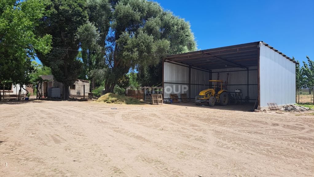 Finca en Venta en San Rafael, Mendoza