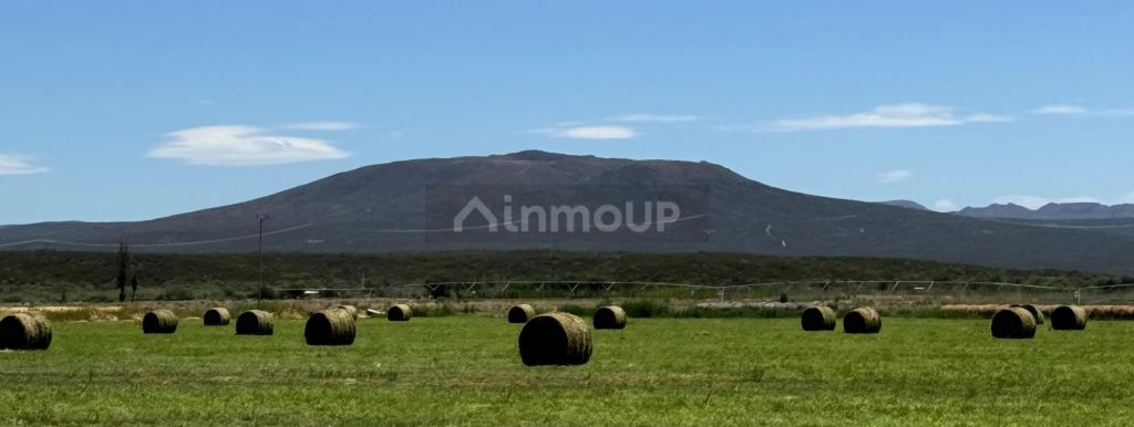 Finca en Venta en San Rafael, Mendoza