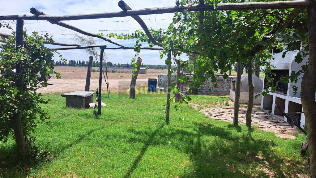Finca en Venta en San Rafael, Mendoza