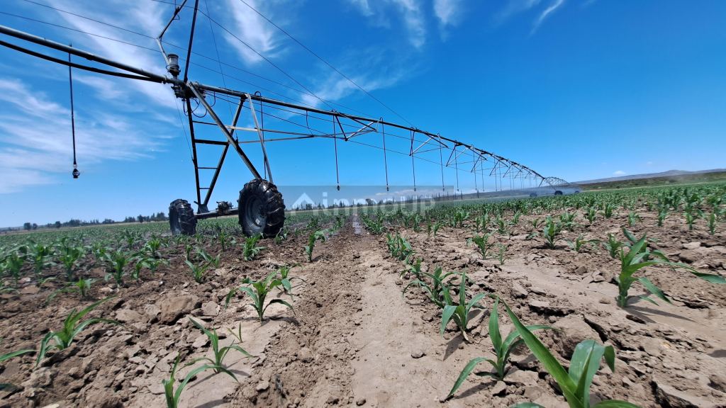 Finca en Venta en San Rafael, Mendoza