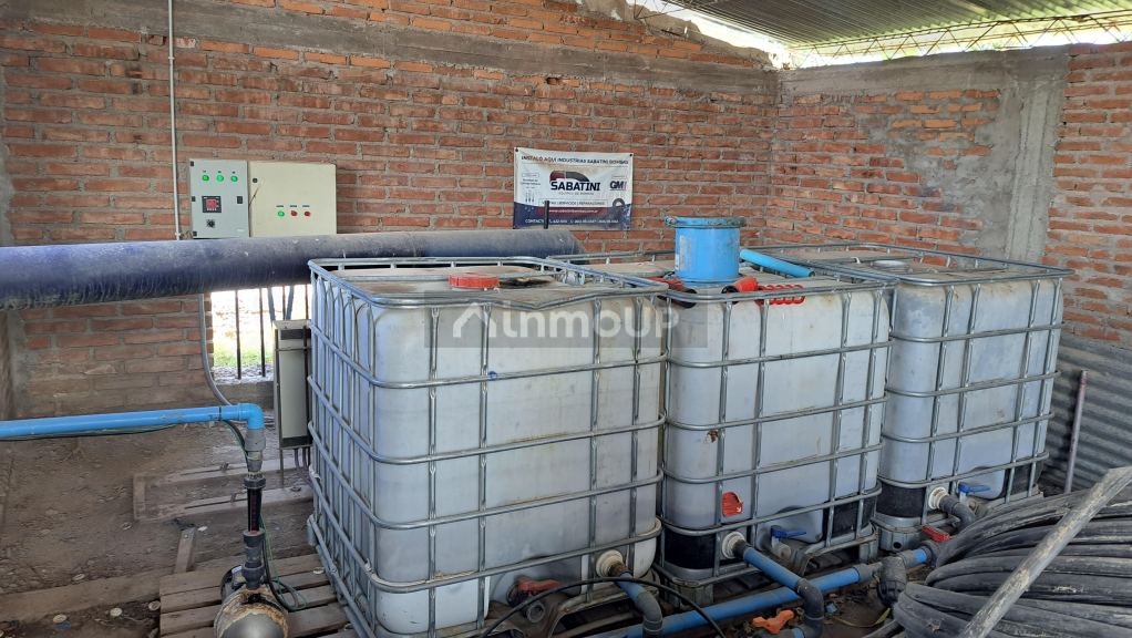 Finca en Venta en San Rafael, Mendoza