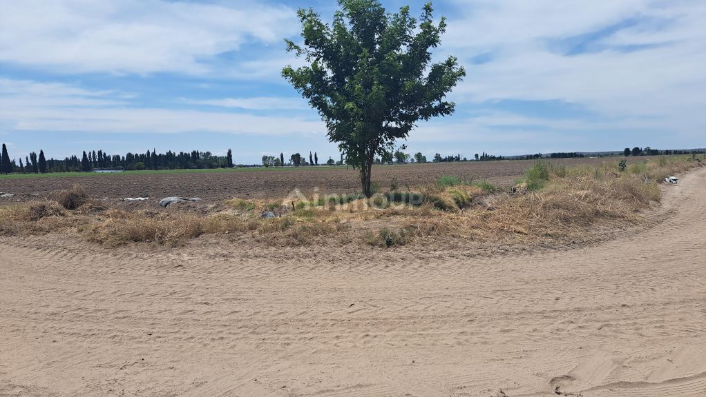 Finca en Venta en San Rafael, Mendoza