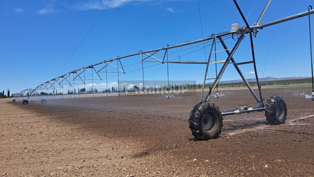 Finca en Venta en San Rafael, Mendoza