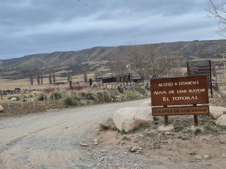 Lote en Venta en Tupungato, Mendoza