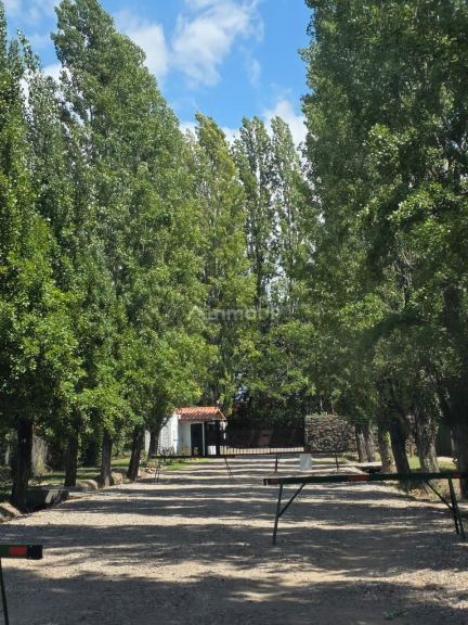 Casa en Venta en Lujan de Cuyo, Mendoza