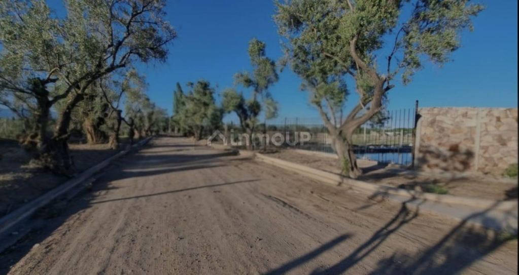Lote en Venta en Lujan de Cuyo, Mendoza