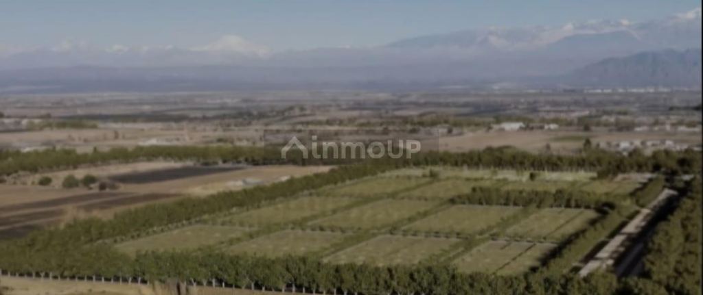 Lote en Venta en Lujan de Cuyo, Mendoza