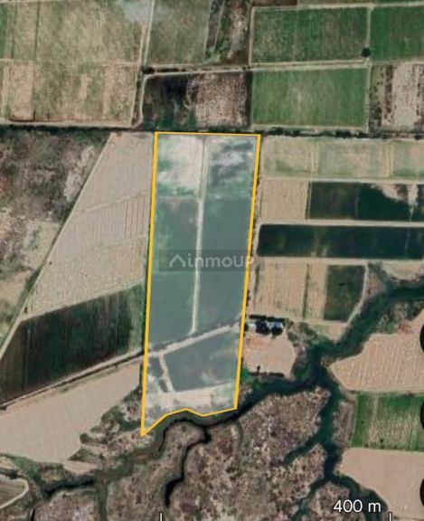Finca en Venta en Lavalle, Mendoza