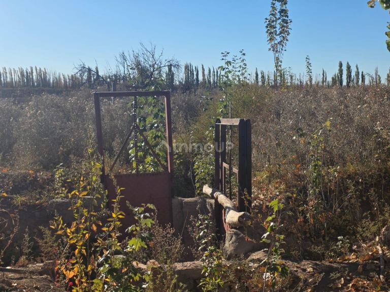 Finca en Venta en Lavalle, Mendoza