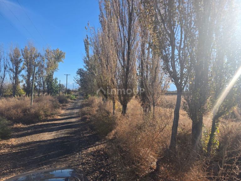 Lavalle Hernandez  y Ruta provincial 24, Lavalle