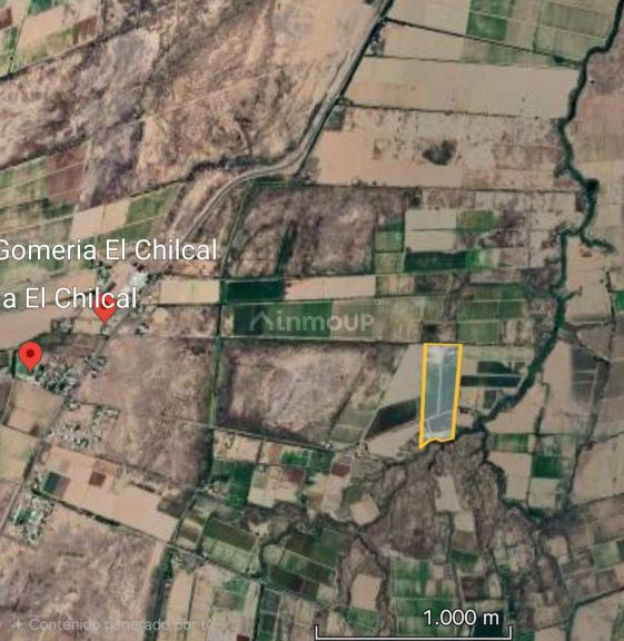 Finca en Venta en Lavalle, Mendoza