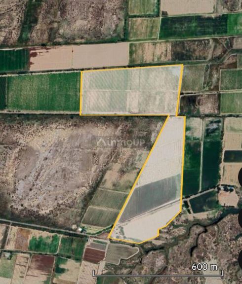 Finca en Venta en Lavalle, Mendoza - USD 95.000 | Inmoup - 16