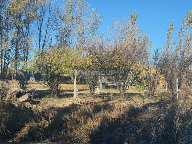 Finca en Venta en Lavalle, Mendoza - USD 95.000 | Inmoup - 9