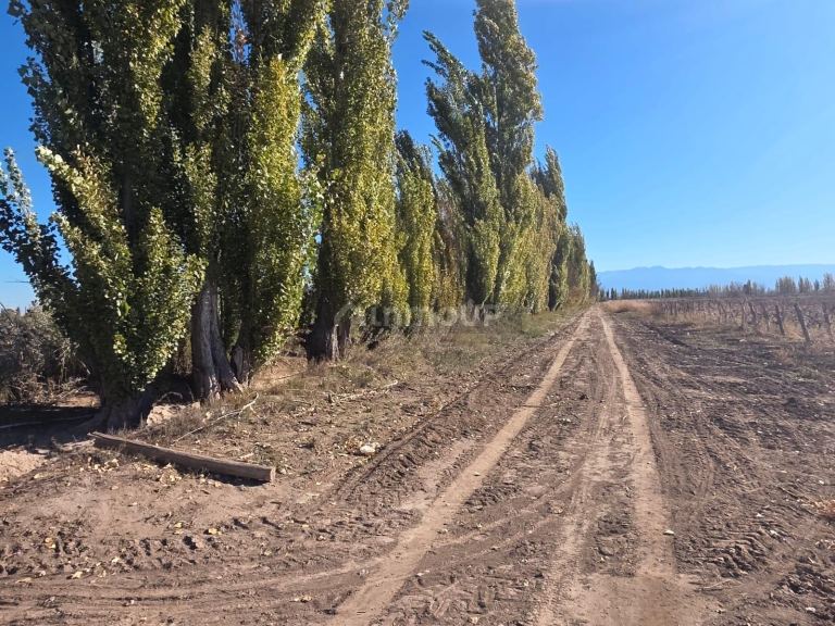 Lavalle Hernandez  y Ruta provincial 24, Lavalle