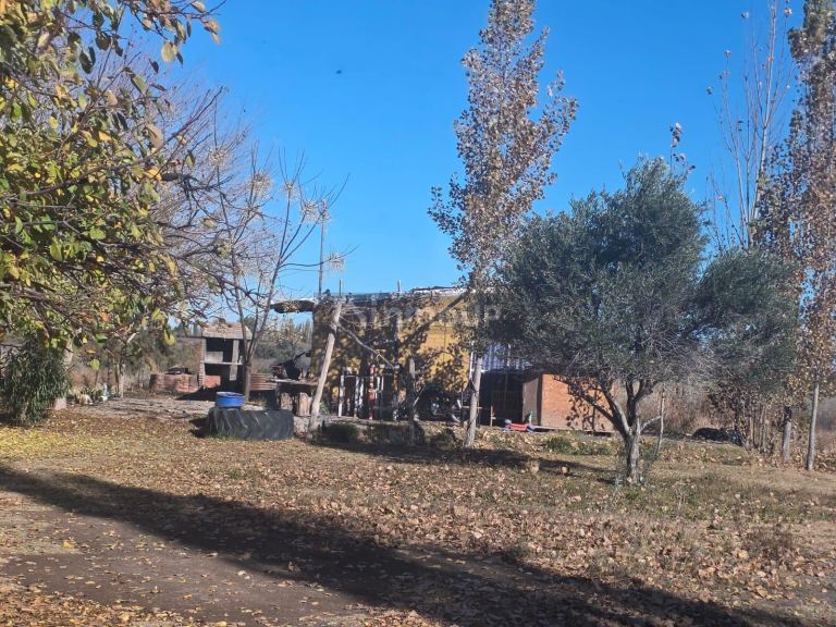 Finca en Venta en Lavalle, Mendoza - USD 95.000 | Inmoup - 8