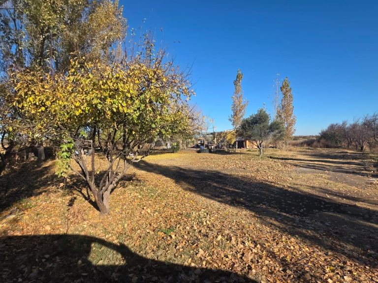 Finca en Venta en Lavalle, Mendoza - USD 95.000 | Inmoup - 13