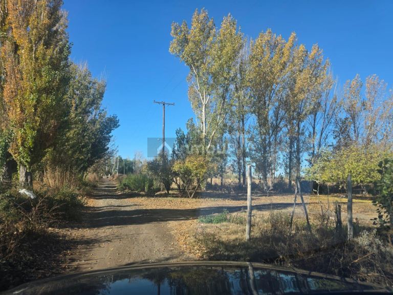 Finca en Venta en Lavalle, Mendoza - USD 130.000 | Inmoup - 11