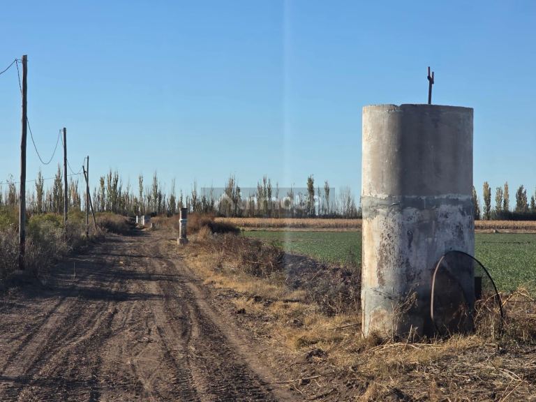 Finca en Venta en Lavalle, Mendoza - USD 300.000 | Inmoup - 24