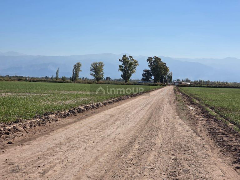 Finca en Venta en Lavalle, Mendoza - USD 300.000 | Inmoup - 16