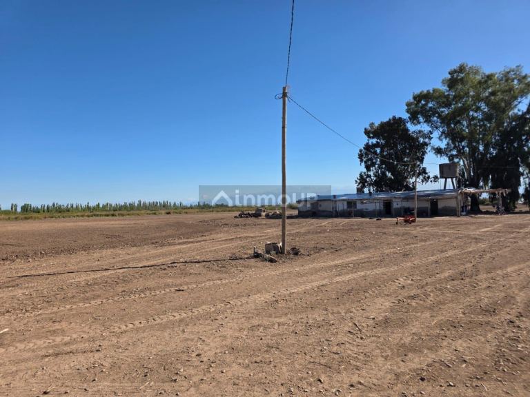 Finca en Venta en Lavalle, Mendoza - USD 300.000 | Inmoup - 21