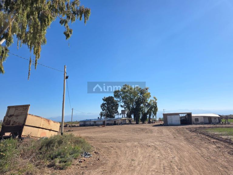 Finca en Venta en Lavalle, Mendoza - USD 300.000 | Inmoup - 26