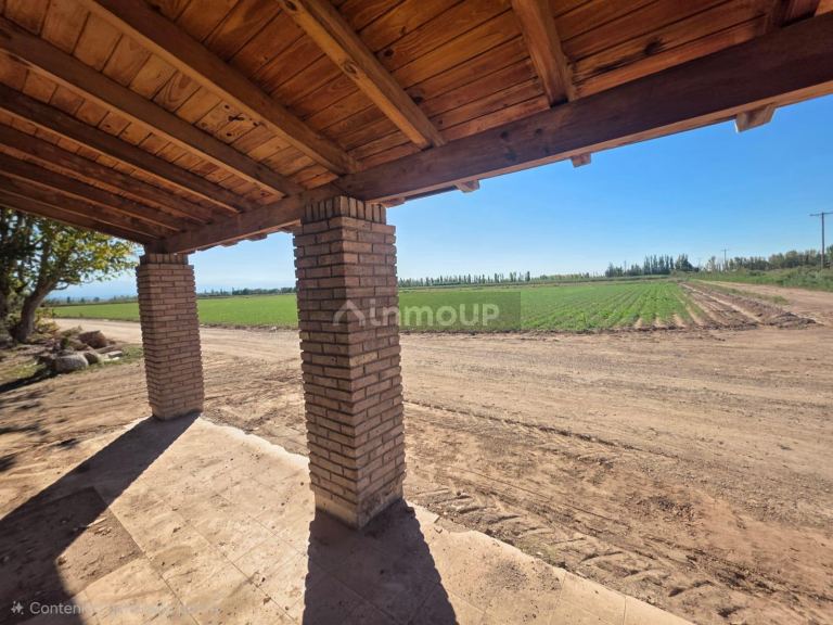 Finca en Venta en Lavalle, Mendoza - USD 300.000 | Inmoup - 28