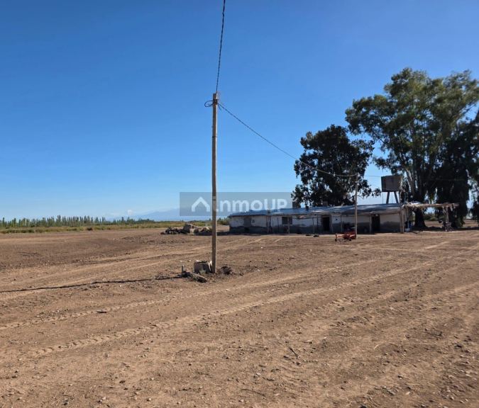 Finca en Venta en Lavalle, Mendoza - USD 300.000 | Inmoup - 11