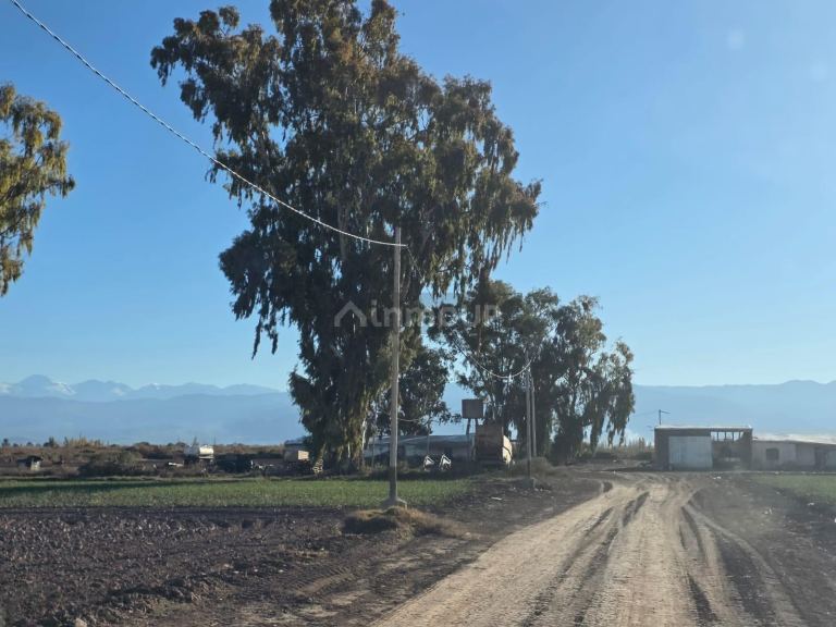 Finca en Venta en Lavalle, Mendoza - USD 300.000 | Inmoup - 17