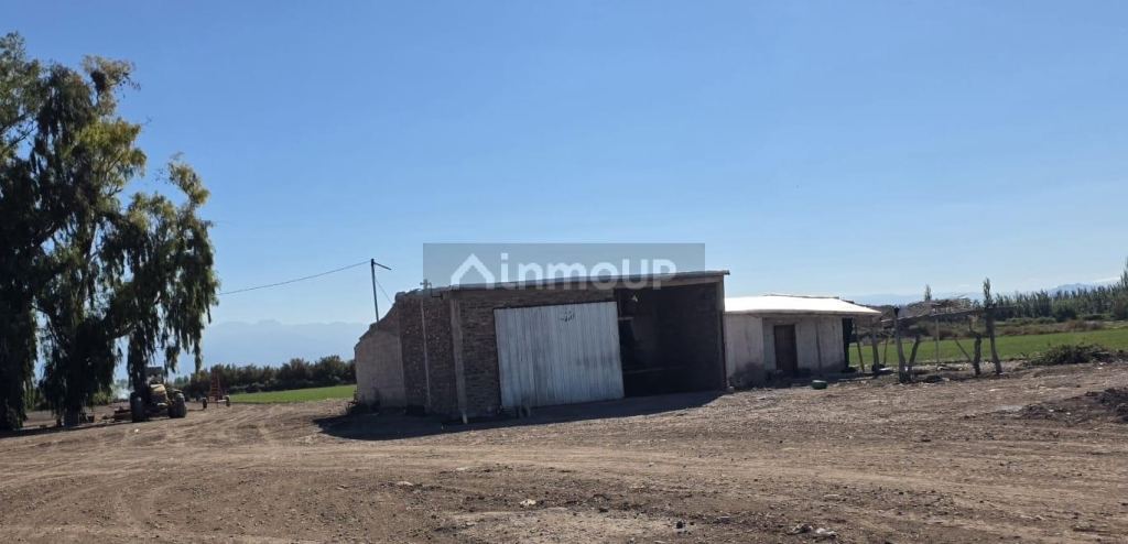 Finca en Venta en Lavalle, Mendoza - USD 300.000 | Inmoup - 10