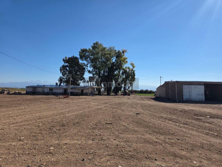 Finca en Venta en Lavalle, Mendoza - USD 300.000 | Inmoup - 19