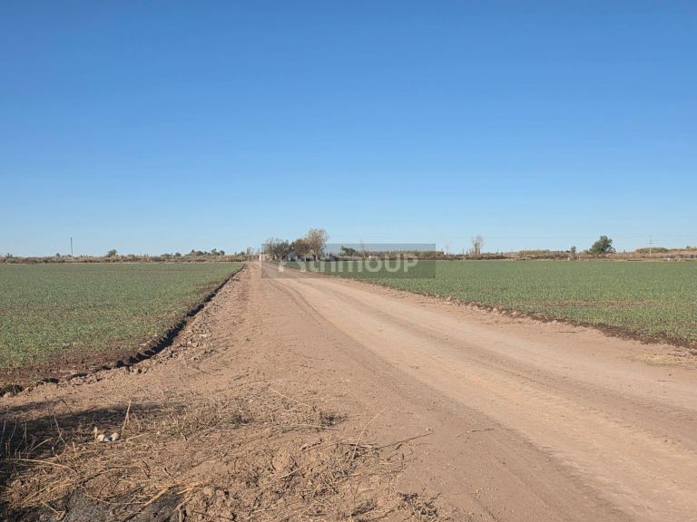 Finca en Venta en Lavalle, Mendoza - USD 300.000 | Inmoup - 27