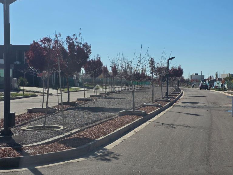 Lote en Venta en Lujan de Cuyo, Mendoza
