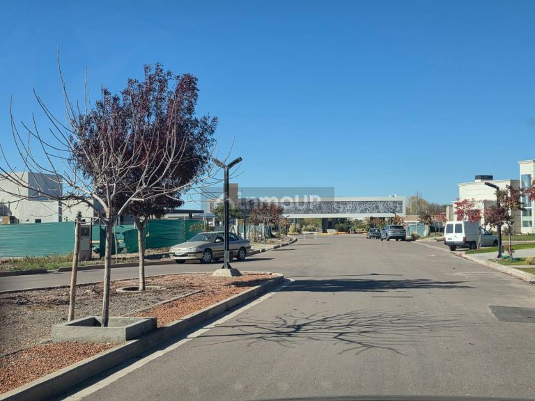Lote en Venta en Lujan de Cuyo, Mendoza