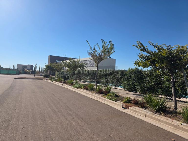 Lote en Venta en Lujan de Cuyo, Mendoza