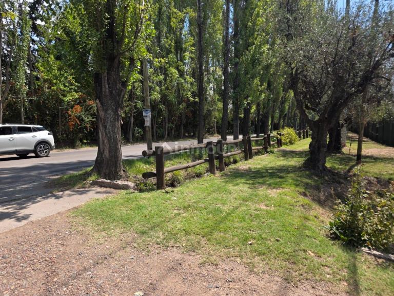 Casa en Venta en Lujan de Cuyo, Mendoza - USD 190.000 | Inmoup - 13