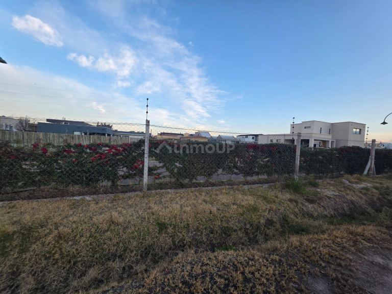 Lote en Venta en Lujan de Cuyo, Mendoza - USD 85.000 | Inmoup - 11