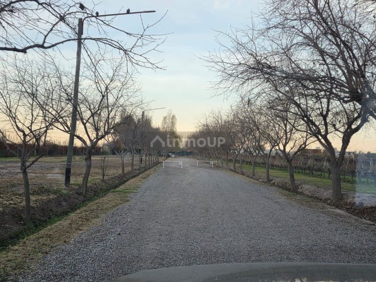 Lote en Venta en Lujan de Cuyo, Mendoza - USD 85.000 | Inmoup - 12
