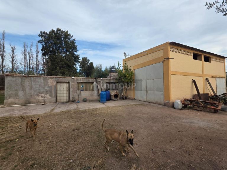 Maipu Lanus 2800