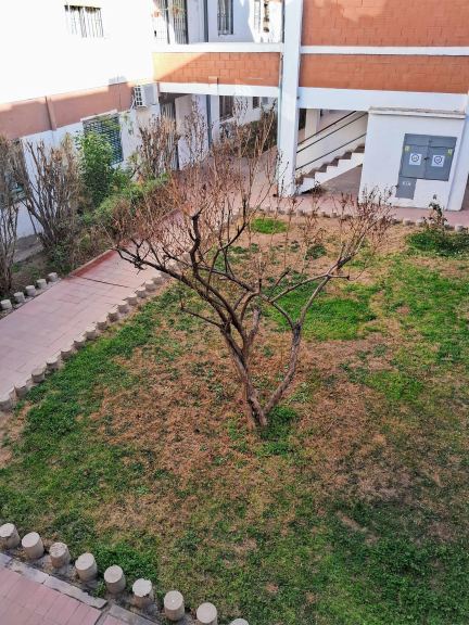 Departamento en Venta en Godoy Cruz, Mendoza